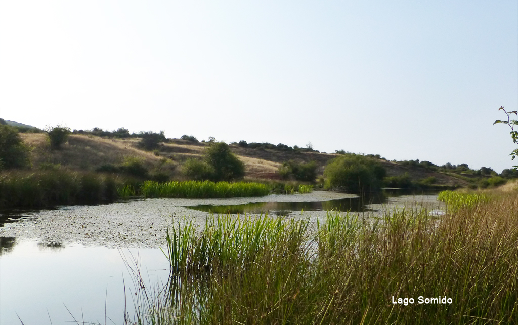 Lago-Somido