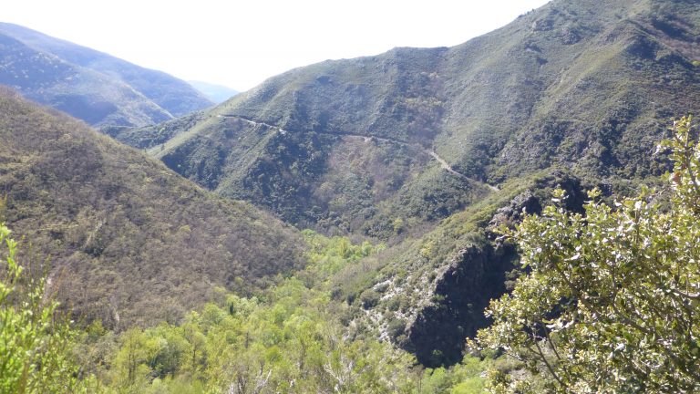 ruta-canales-
