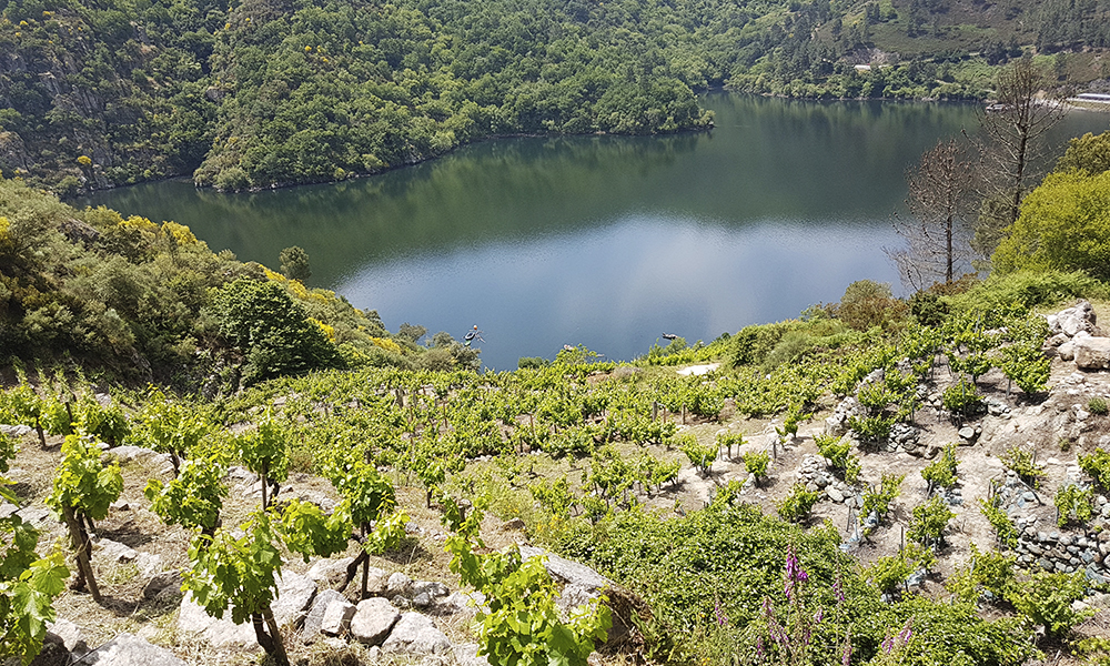 Mirador-do-Xabrega